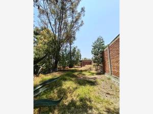 Casa en venta en El Tepetloxto (Colonia Lomas de San Gabriel), Tepetlaoxtoc — foto 3 de 10