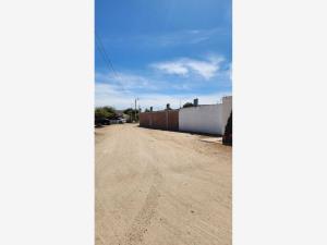 Terreno en venta en Adolfo Ruiz Cortinez, Guasave — foto 2 de 21