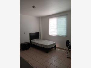 Departamento en renta en Santa Maria Ahuacatitlan, Cuernavaca — foto 3 de 11