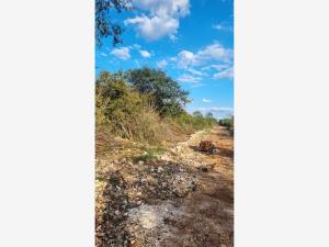 Terreno en venta en Oxcum, Umán — foto 2 de 11