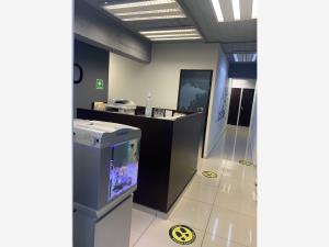 Oficina en renta en Polanco V Sección, Miguel Hidalgo — foto 3 de 6