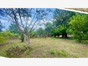 Terreno en venta en Mozambique, Medellín de Bravo — foto 3 de 4