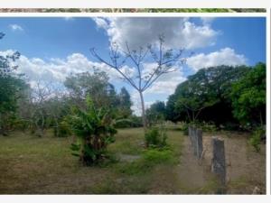 Terreno en venta en Mozambique, Medellín de Bravo — foto 2 de 2