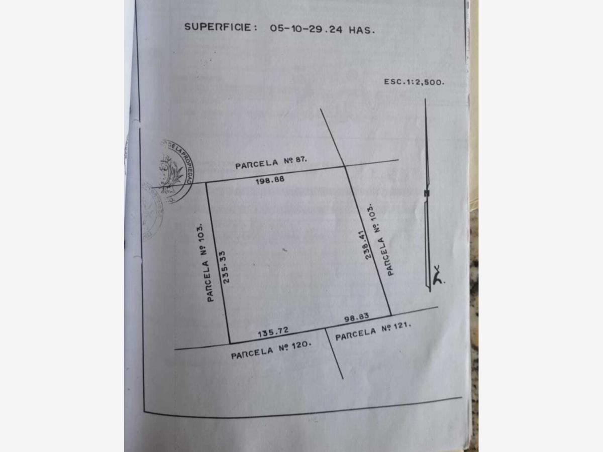 Terreno en Venta en Placido Domingo, Lerdo, Durango