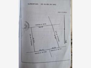 Terreno en venta en Placido Domingo, Lerdo, Durango Terreno en venta en Placido Domingo, Lerdo, Durango