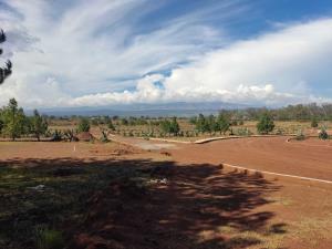 Terreno en venta en San Pablo Ojo de Agua, Huasca de Ocampo — foto 2 de 12