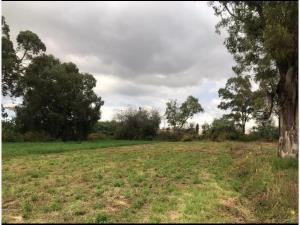 Terreno en venta en San Francisco Acatepec, San Andrés Cholula — foto 3 de 4