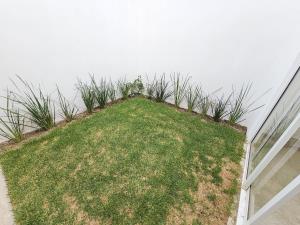 Casa en venta en San Diego, San Andrés Cholula — foto 2 de 9