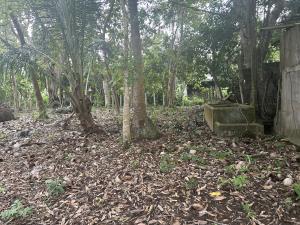 Terreno en venta en Saloya 1ra. Sección, Nacajuca — foto 3 de 11