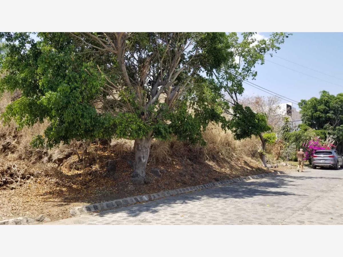 Terreno en venta en Vista Hermosa, Cuernavaca — foto 1 de 3