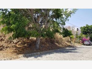 Terreno en venta en Vista Hermosa, Cuernavaca, Morelos