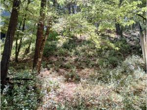 Terreno en venta en Valle de Bravo, Valle de Bravo — foto 2 de 13