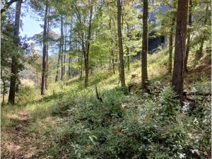 Terreno en venta en Valle de Bravo, Valle de Bravo — foto 3 de 13
