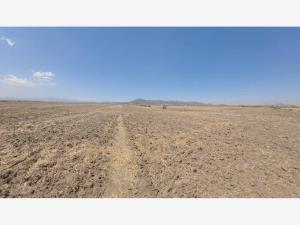 Terreno en venta en Acopinalco, Apan — foto 3 de 9