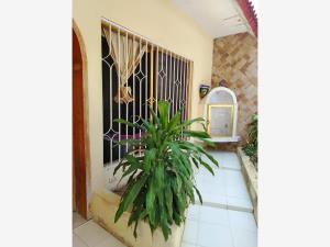 Casa en Ejido Primero de Mayo Norte, Boca del Río, Veracruz de Ignacio de la Llave