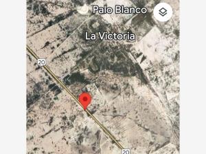 Terreno en venta en La Victoria, Cuatro Ciénegas — foto 2 de 14