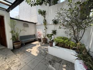 Departamento en renta en Lomas de Chapultepec I Sección, Miguel Hidalgo — foto 2 de 22