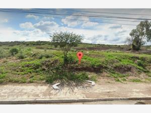Terreno en venta en Tlaxinacalpan, Tepeji del Río de Ocampo — foto 2 de 5