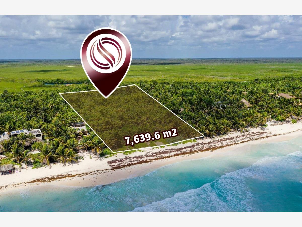 Terreno en venta en Aldea Zama, Tulum — foto 1 de 10