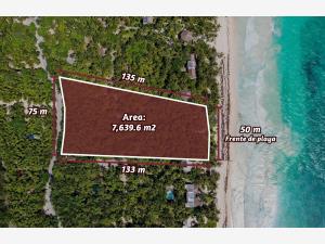Terreno en venta en Aldea Zama, Tulum — foto 2 de 10
