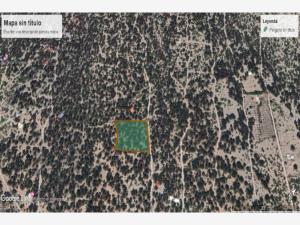 Terreno en venta en Los Llanos, Arteaga — foto 3 de 9