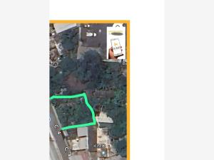 Terreno en venta en Pedro Ignacio Mata, Veracruz — foto 2 de 3