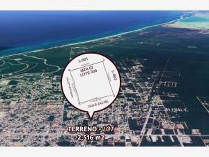 Terreno en venta en La Veleta, Tulum — foto 3 de 10