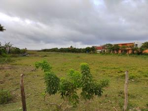 Terreno en venta en De los Maestros, Tlacotalpan — foto 3 de 7