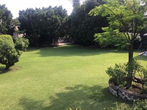 Terreno en venta en Delicias, Cuernavaca — foto 2 de 4