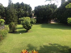 Terreno en venta en Delicias, Cuernavaca — foto 3 de 4