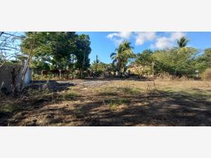 Terreno en venta en Chacahua, Villa de Tututepec — foto 2 de 6