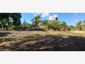 Terreno en venta en Chacahua, Villa de Tututepec — foto 3 de 10