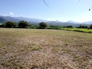 Terreno en venta en Camino Antiguo a Tepoztlán, Tepoztlán — foto 2 de 6