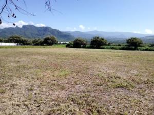 Terreno en venta en Camino Antiguo a Tepoztlán, Tepoztlán — foto 3 de 6