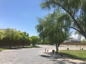 Terreno en venta en Las Acacias, Torreón — foto 3 de 6
