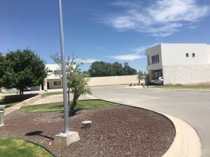 Terreno en venta en Las Acacias, Torreón, Coahuila de Zaragoza Terreno en venta en Las Acacias, Torreón, Coahuila de Zaragoza