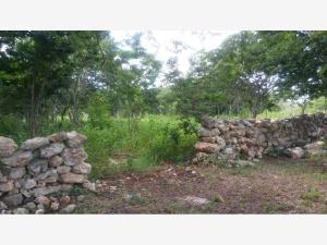 Terreno en venta en Izamal Centro, Izamal — foto 2 de 5