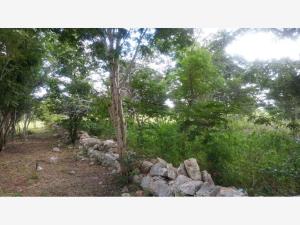 Terreno en venta en Izamal Centro, Izamal — foto 3 de 5