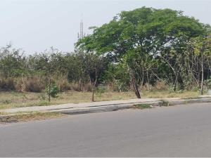 Terreno en venta en Xana, Veracruz — foto 3 de 16