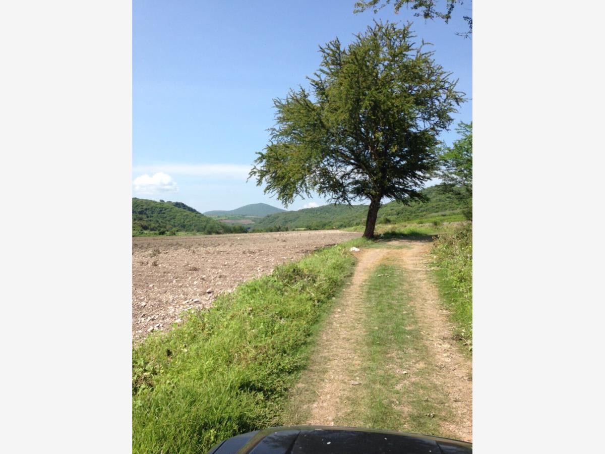 Terreno en venta en Tlaltizapán Centro, Tlaltizapán de Zapata — foto 1 de 4