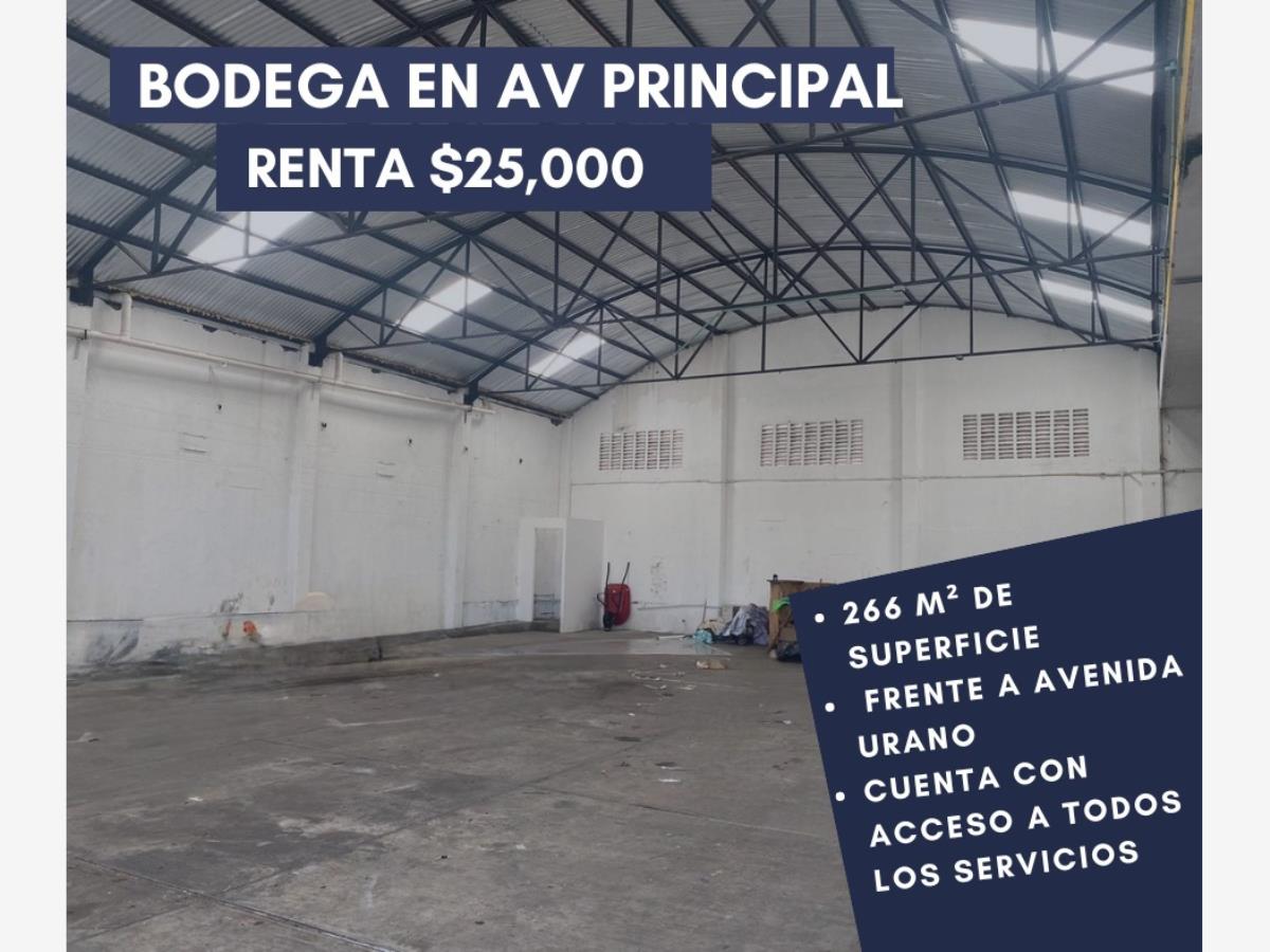 Bodega en renta en Puerto de Veracruz, Veracruz