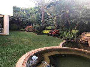 Finca-Rancho en venta en Residencial Sumiya, Jiutepec — foto 3 de 17