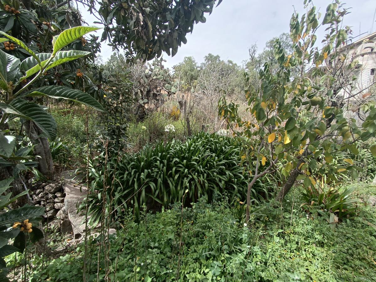 Terreno en venta en La Purificación Tepetitla, Texcoco — foto 1 de 10