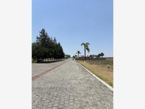 Terreno en venta en San Gregorio Atzompa, San Gregorio Atzompa — foto 3 de 5