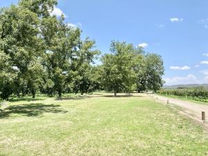 Terreno en venta en Del Marquez, Parras — foto 2 de 7