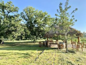 Terreno en venta en Del Marquez, Parras — foto 3 de 7