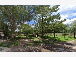 Terreno en venta en El Nayar, Durango — foto 3 de 25