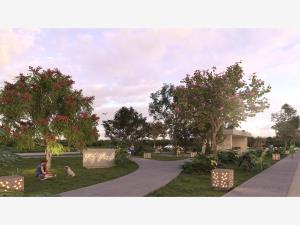 Terreno en venta en Yaxkukul, Yaxkukul, Yucatán Terreno en venta en Yaxkukul, Yaxkukul, Yucatán