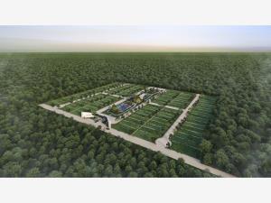 Terreno en venta en Yaxkukul, Yaxkukul — foto 3 de 6
