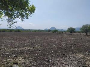 Terreno en venta en Jonacatepec de Leandro Valle Centro, Jonacatepec de Leandro Valle, Morelos